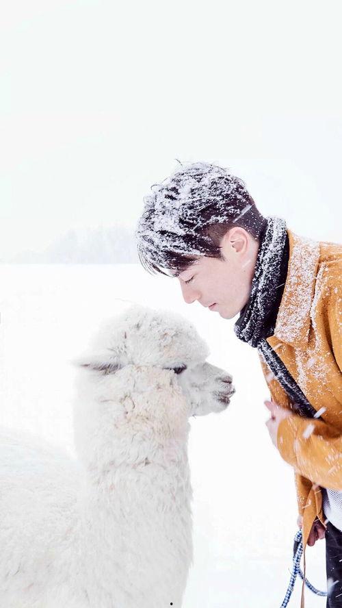 胡歌照片聊天背景,探寻明星生活的点滴